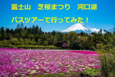 昭和薫るバスツアー 富士山 芝桜まつり 河口湖 小田原ツアー行ってみた おすすめ お土産 開封動画付き 早期退職 3人家族の退職金生活